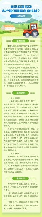 自然災(zāi)害來襲，農(nóng)戶如何保障自身權(quán)益？